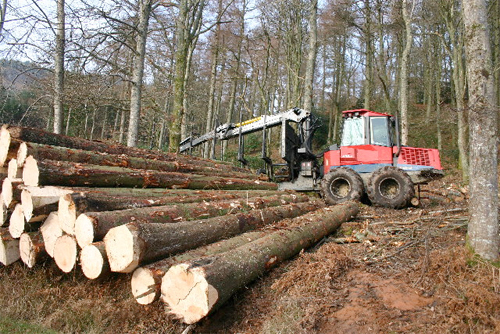 Forest Facts: Rural Communities Benefit from Sustainable Forestry Industry