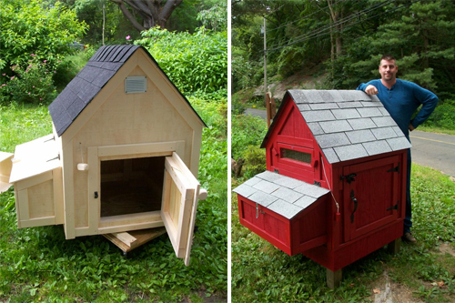 Raising Backyard Chickens: Eastern White Pine Coops & Nesting Boxes