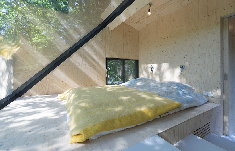 Sustainable Pine Rooftop Addition Turns Ordinary Residence into a Tree House