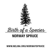 Birth of a Species Graphic - White BG